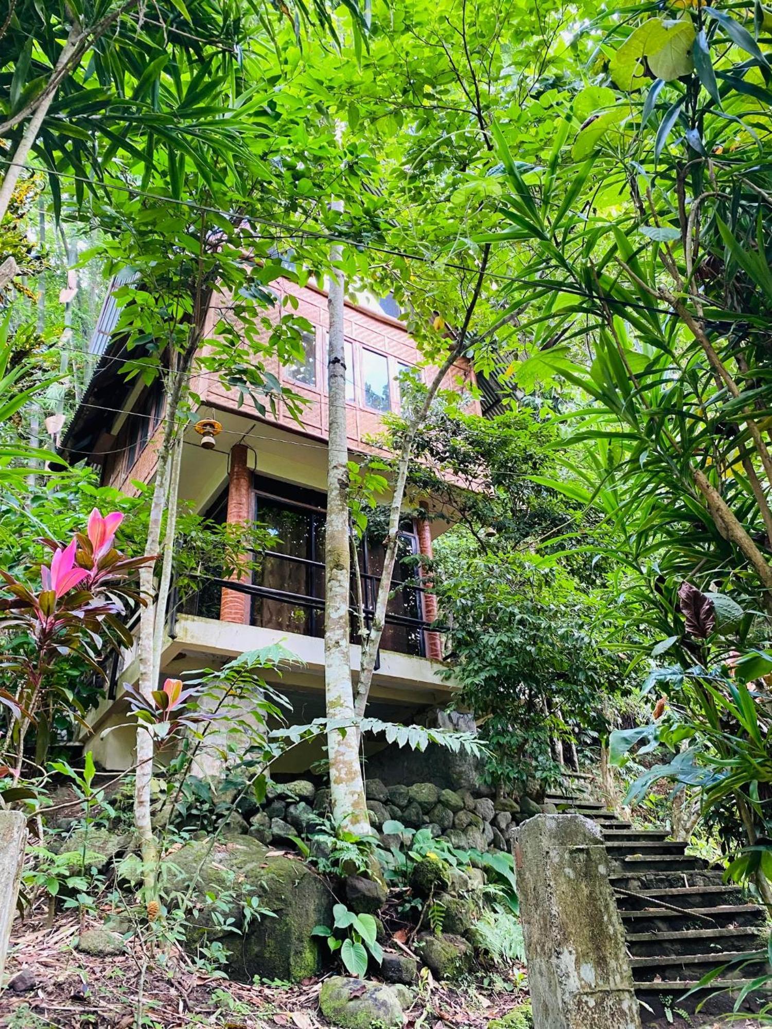 Forest Camp Valencia  エクステリア 写真